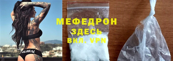 индика Богородицк