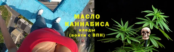 индика Богородицк