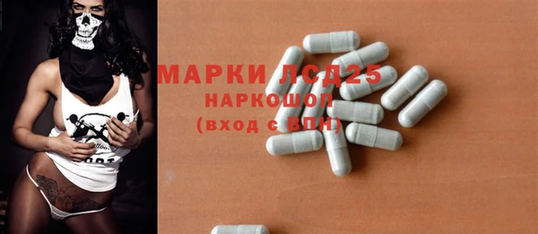 индика Богородицк