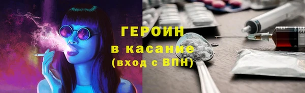 индика Богородицк