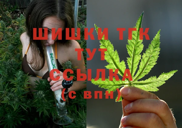 гашик Пестово