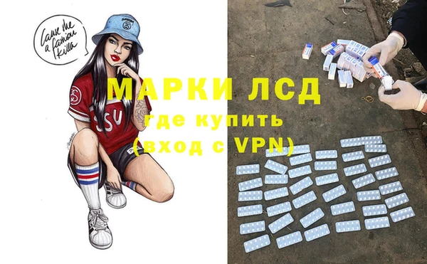 индика Богородицк