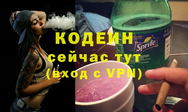 индика Богородицк