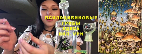 индика Богородицк
