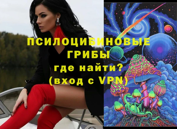 индика Богородицк