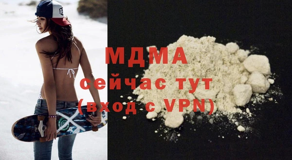 индика Богородицк