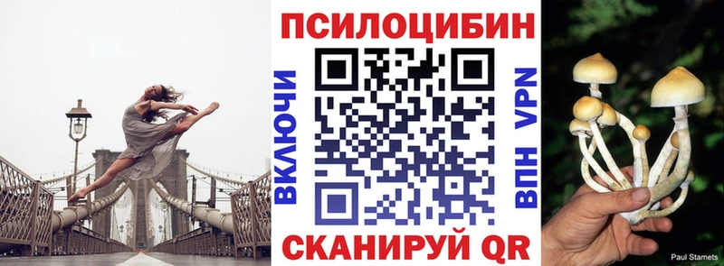 Галлюциногенные грибы мухоморы  Кириллов 