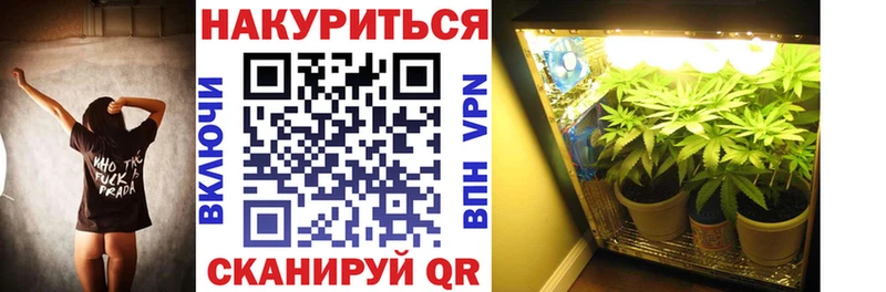 Бошки марихуана гибрид  Кириллов 